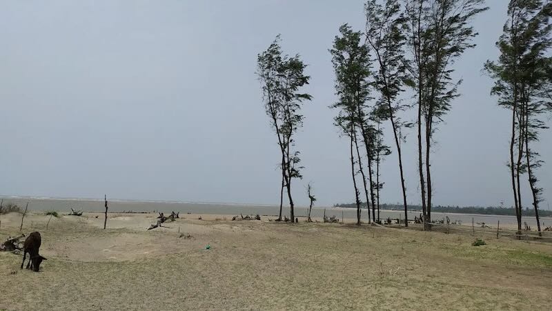 Mandarmoni Mohona