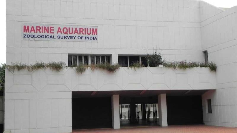 Marine Aquarium & Research Centre